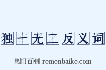 独一无二反义词是什么意思的图片